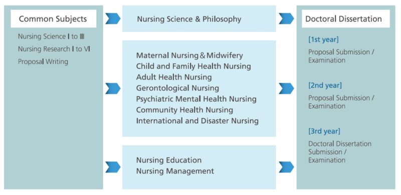 research focused doctoral program in nursing